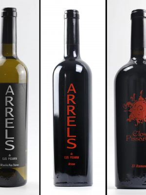 Lot de 3 ampolles: 1 Albariño, 1 Aristan i 1 El Ramon: