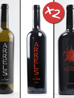 Lot de 6 ampolles: 2x Albariño, 2x Aristan i 2x El Ramon